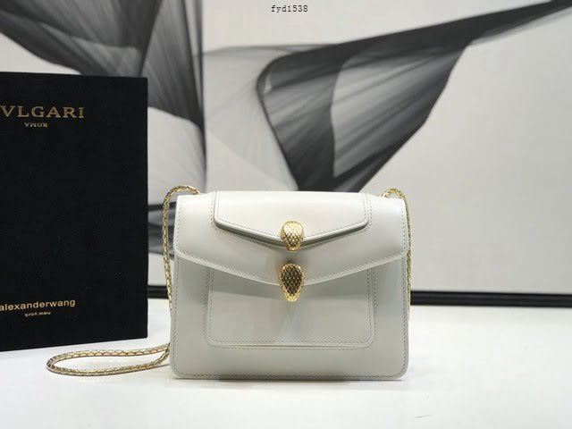 Bvlgari女包 寶格麗新品系列鏈條小包 B288741 膠囊系列 雙蛇首搭扣 Bvlgari2020新款女包  fyd1538