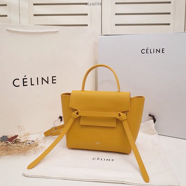 Celine女包 賽琳掌紋牛皮小號手提包 Celine belt bag鯰魚包 189003  slyd2054