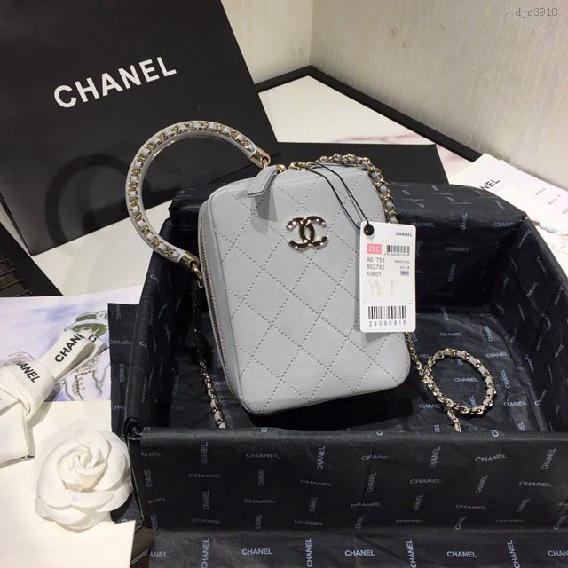 Chanel女包 AS1753 Chanel2020走秀款包 香奈兒2020春夏最新豎斜提相機包 手提 單肩斜挎  djc3918