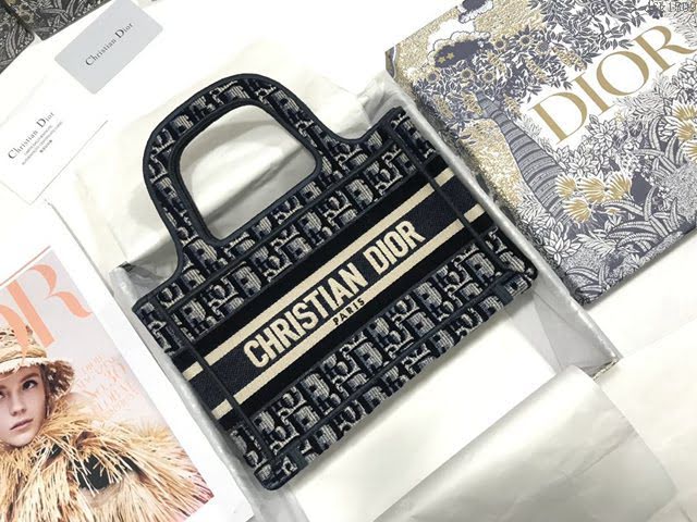 Dior女包 迪奧Book Tote迷你天鵝絨托特包手袋 Dior刺繡購物袋  dfk1509