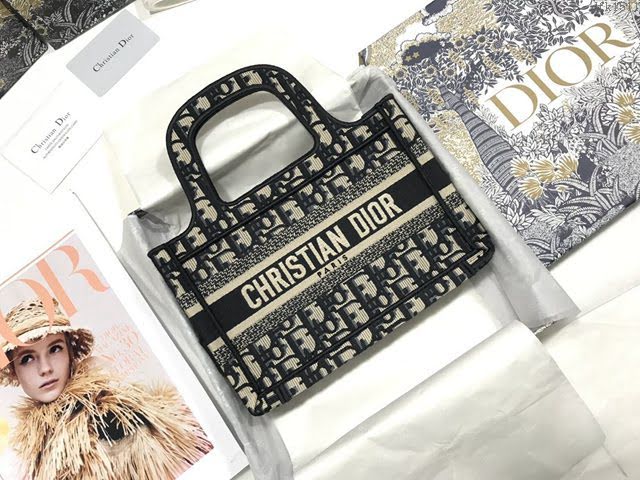 Dior女包 迪奧Book Tote經典帆布mini托特包 Dior刺繡迷你購物袋  dfk1511