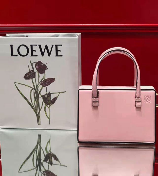 LOEWE包包 羅意威小號postal手袋 羅意威手提單肩斜挎包 10162  tcl1120