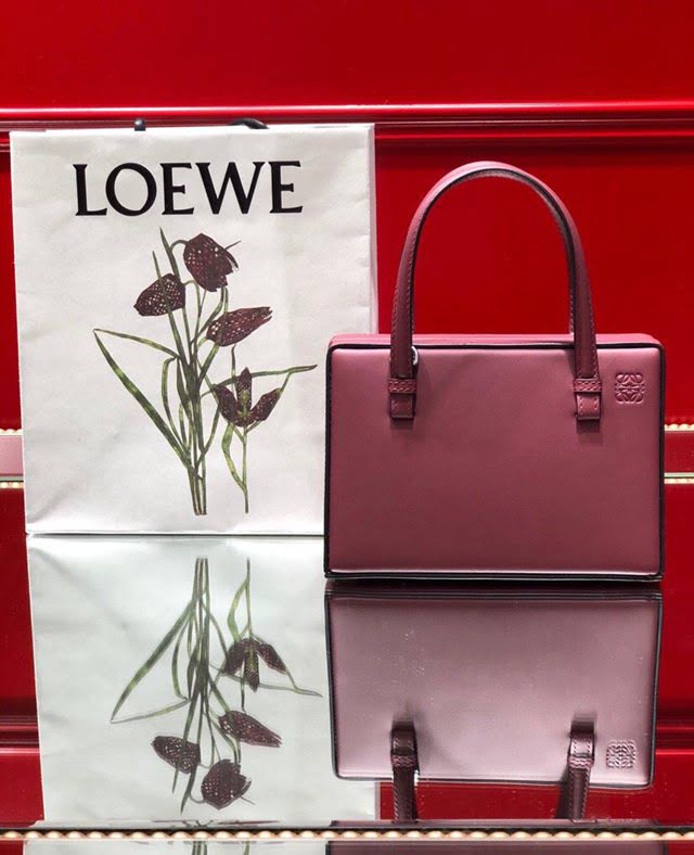 LOEWE包包 羅意威小號postal手袋 羅意威手提單肩斜挎包 10162  tcl1121