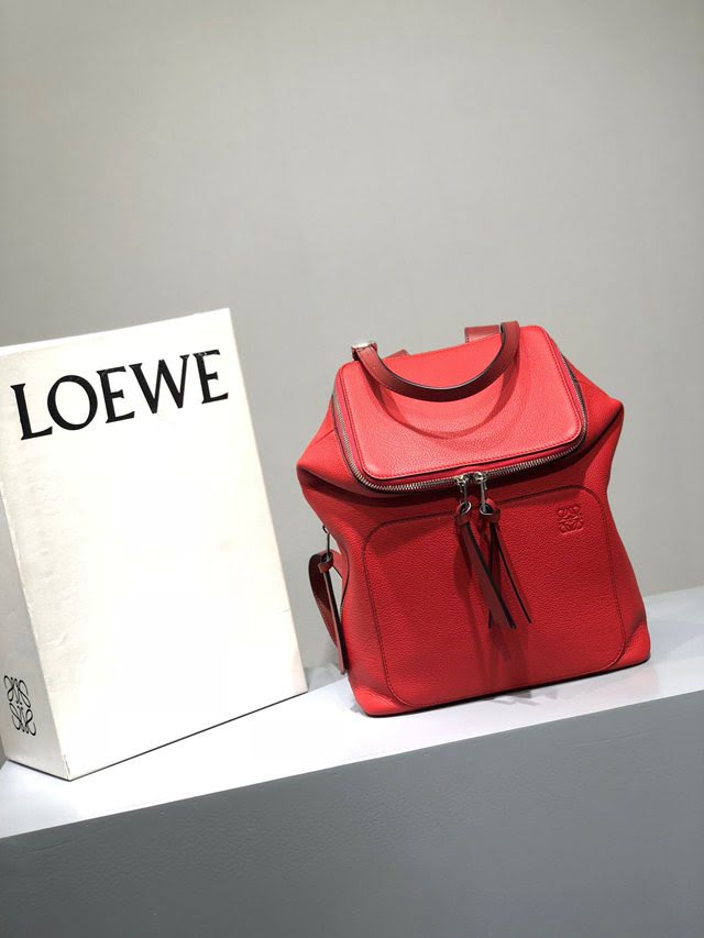 LOEWE包包 羅意威Goya系列雙肩包 羅意威女士後背包 10257  tcl1364