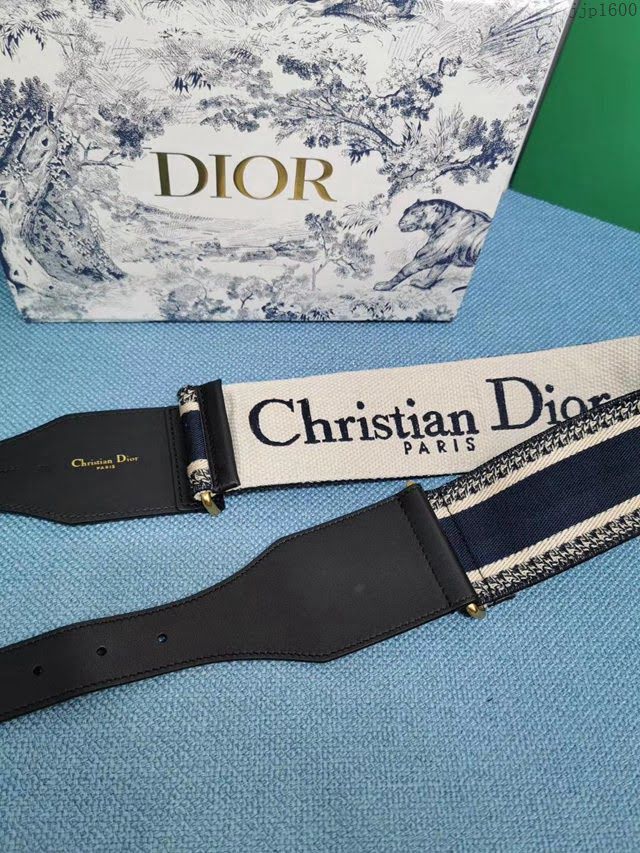 Dior女士腰帶 迪奧馬鞍線條腰帶  jjp1600