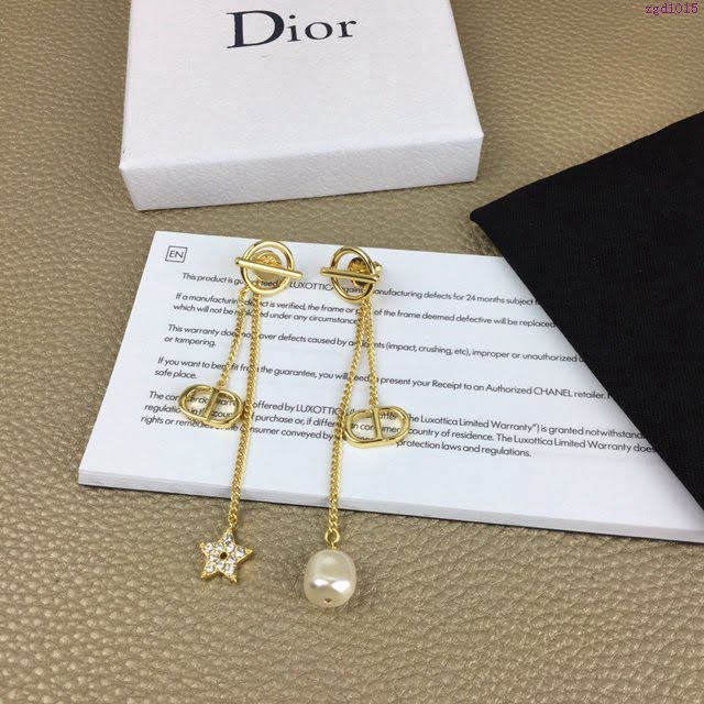 Dior飾品 迪奧經典熱銷款耳環  zgd1015