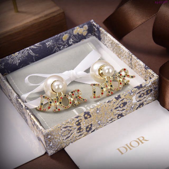 Dior飾品 2021新款DIOR迪奧字母耳釘耳環  zgd1197