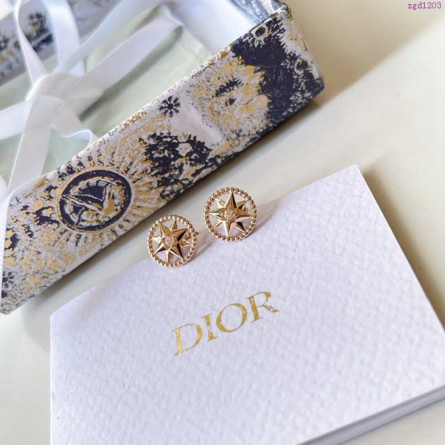 Dior飾品 迪奧經典熱銷款羅盤鏤空耳釘耳環耳飾  zgd1203