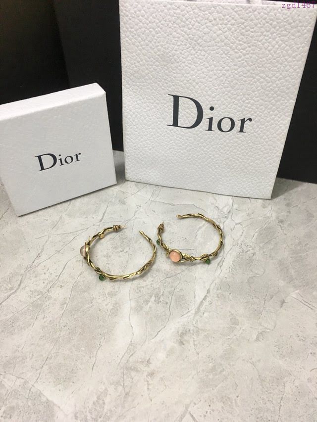Dior飾品 迪奧經典熱銷款紅色寶石小鳥圓圈耳釘耳環  zgd1467