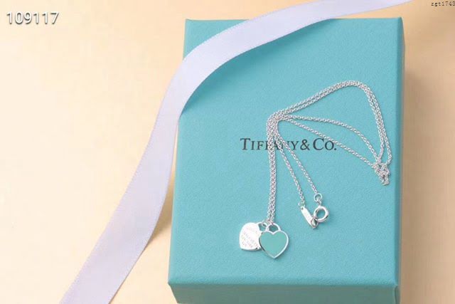 Tiffany飾品 蒂芙尼女士專櫃爆款雙心形琺瑯愛心吊墜項鏈 Tiffany純銀鎖骨鏈  zgt1743