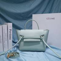 Celine女包 賽琳掌紋牛皮中號手提包 Celine belt bag鯰魚包 189153  slyd2050