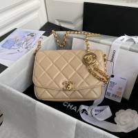 Chanel女包 香奈兒專櫃最新款大號鏈條女包 Chanel限量版金幣包 AS2222大號  djc4210