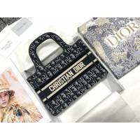 Dior女包 迪奧Book Tote迷你天鵝絨托特包手袋 Dior刺繡購物袋  dfk1509