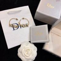 Dior飾品 迪奧經典熱銷款耳釘耳環  zgd1011