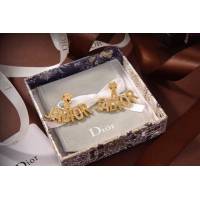 Dior飾品 迪奧經典熱銷款字母耳環 耳飾  zgd1072
