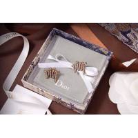 Dior飾品 迪奧新品熱銷款字母耳釘  zgd1081