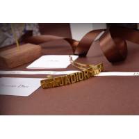 Dior飾品 迪奧經典熱銷款字母髮夾  zgd1130