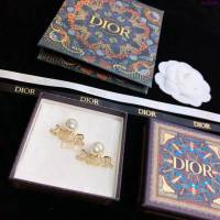 Dior飾品 2021新款DIOR迪奧字母耳釘耳環  zgd1190