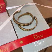 Dior飾品 迪奧經典熱銷款大圈新款耳環耳吊  zgd1321