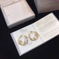 Dior飾品 迪奧經典熱銷款星星大圓圈耳釘  zgd1438