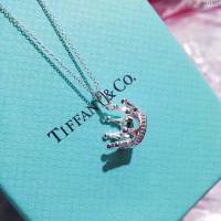 Tiffany純銀飾品 蒂芙尼女士專櫃爆款925皇冠素銀銀項鏈  zgt1597