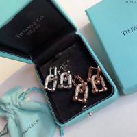 Tiffany飾品 蒂芙尼女士專櫃爆款925純銀關節半鑽耳釘耳環  zgt1631