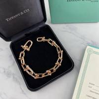 Tiffany飾品 蒂芙尼女士專櫃爆款HardWear銅鍍金手鏈手環  zgt1636