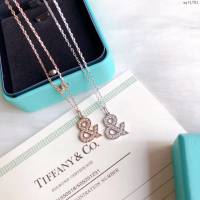 Tiffany純銀飾品 蒂芙尼女士專櫃爆款符號項鏈 Tiffany純銀鎖骨鏈  zgt1781