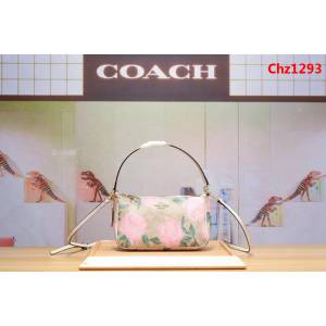 COACH蔻馳 專櫃同步 新料印花斜挎包 時尚百搭款 手提肩背包  Chz1293