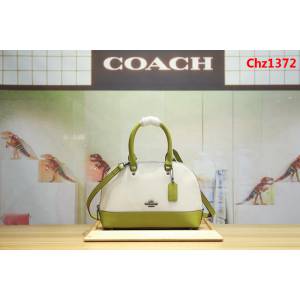 COACH蔻馳 海外代購品質 2018最新顏色 coach24589 全真皮小號貝殼包  Chz1372
