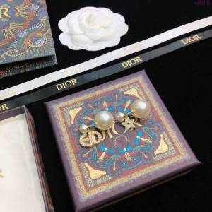 Dior飾品 迪奧經典熱銷款耳環 2021新款DIOR迪奧CD字母耳釘  zgd1191