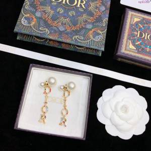 Dior飾品 迪奧經典熱銷款字母耳環 耳飾  zgd1269